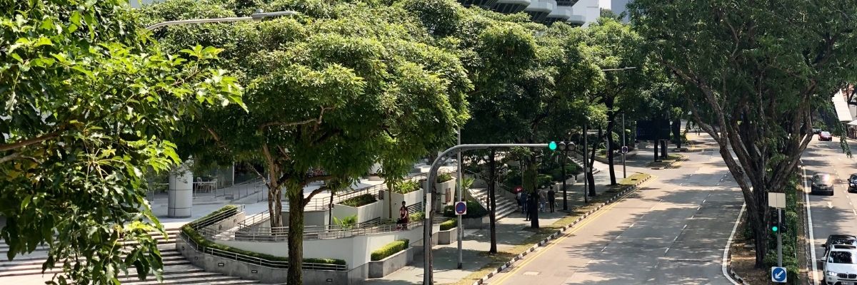Travel to Singapore. Clean streets throughout Singapore